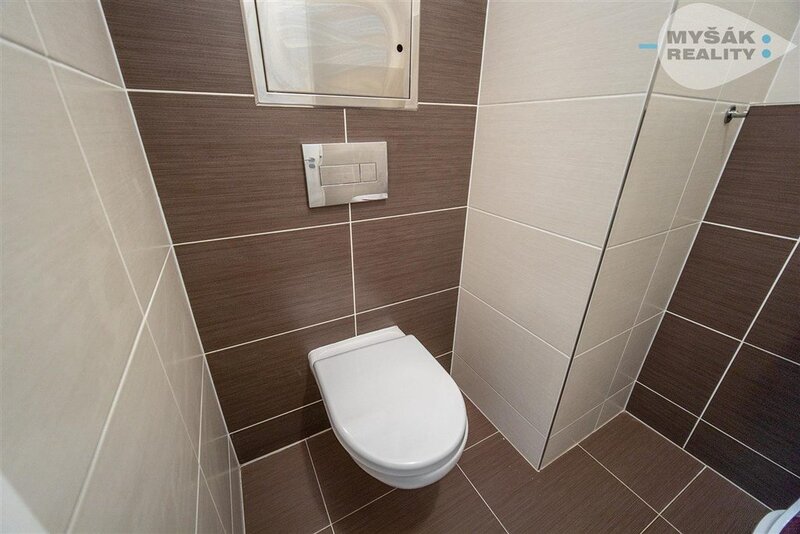 pronájem nadstandardního bytu s terasou