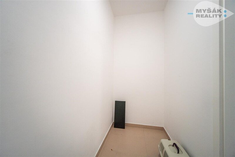 pronájem nadstandardního bytu s terasou