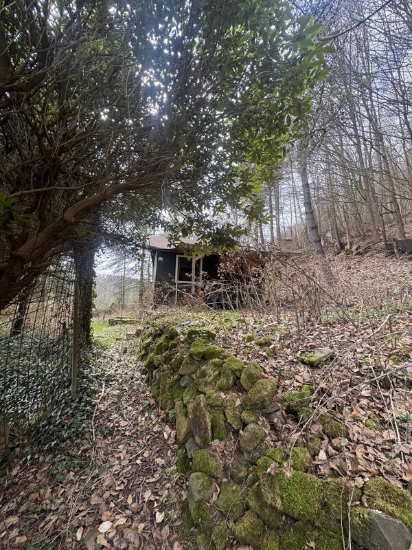 Prodej chaty v původním stavu na pozemku 1321m2, Děčín, Býnov