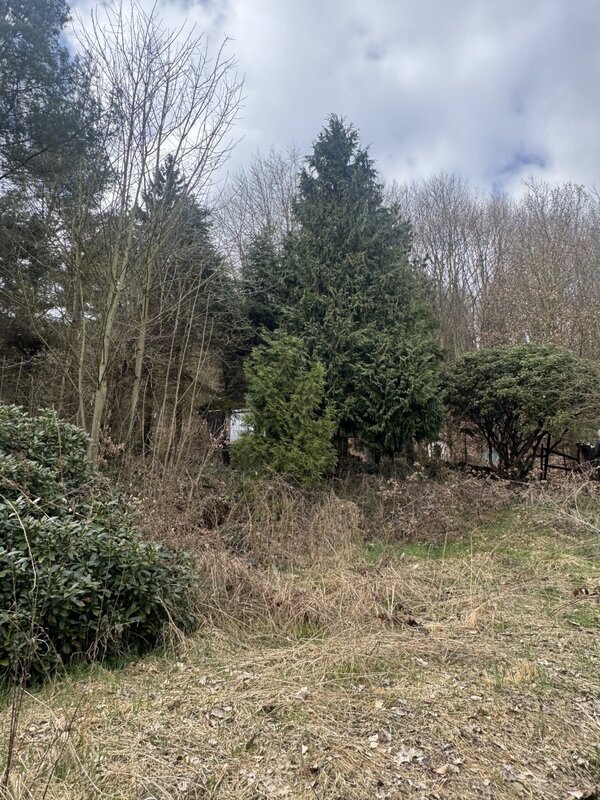 Prodej chaty v původním stavu na pozemku 1321m2, Děčín, Býnov