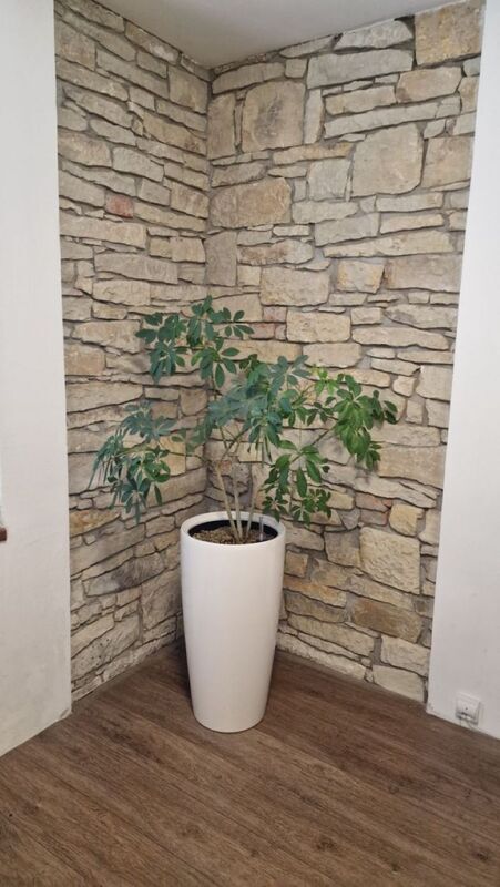 Prodej rodinného domu v Jenči