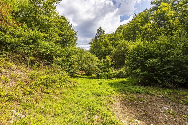 prodej velkého pozemku v Jílovém u Prahy