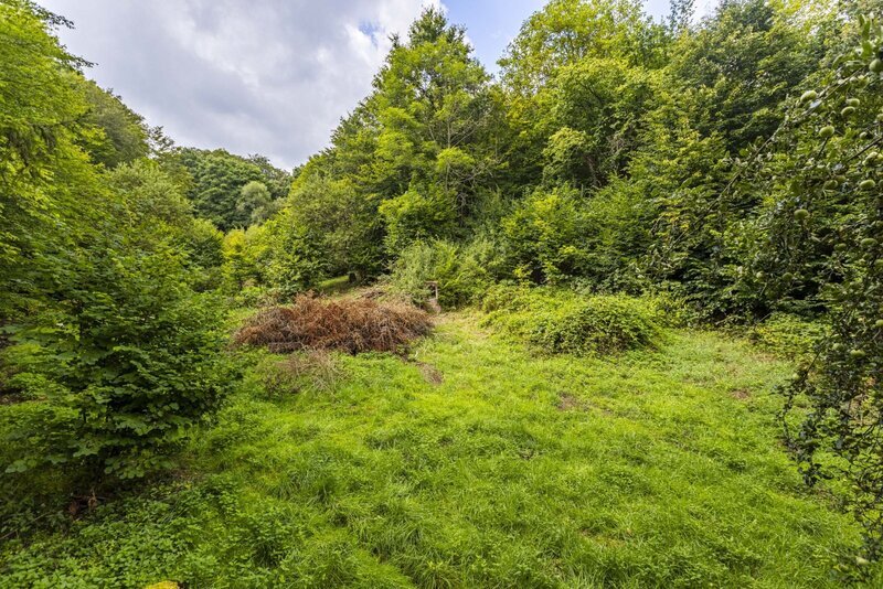prodej velkého pozemku v Jílovém u Prahy